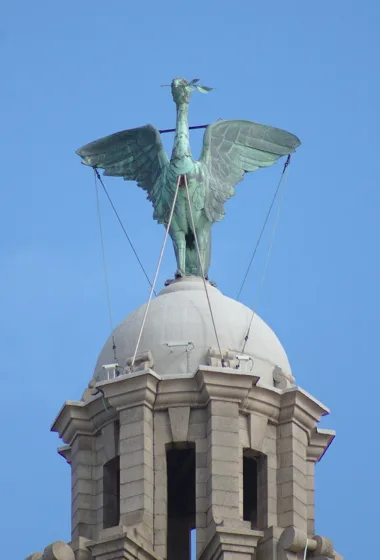 Close view of a copper Liver Bird, with outstretched wings and a sprig in its beak.