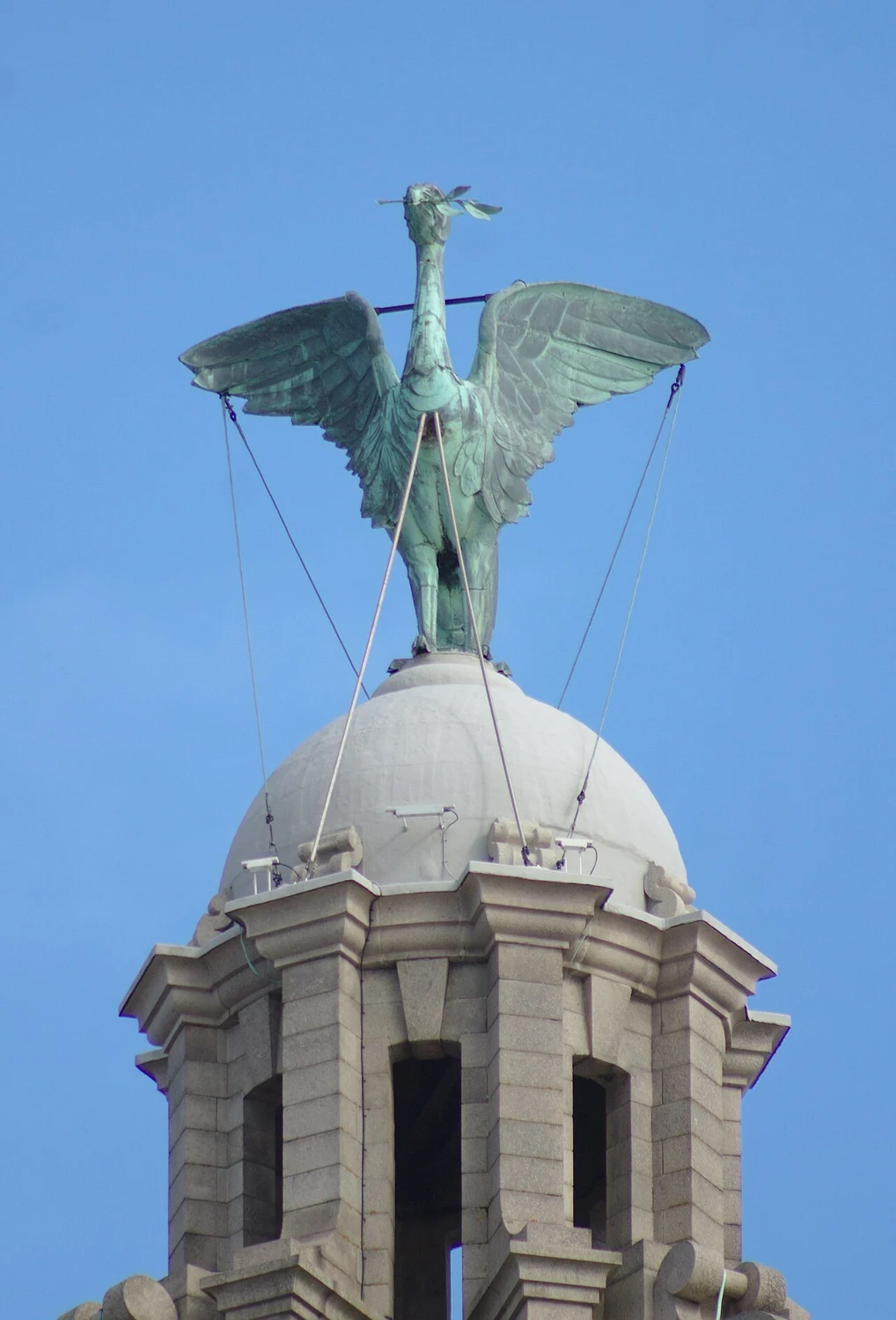 Close view of a copper Liver Bird, with outstretched wings and a sprig in its beak.